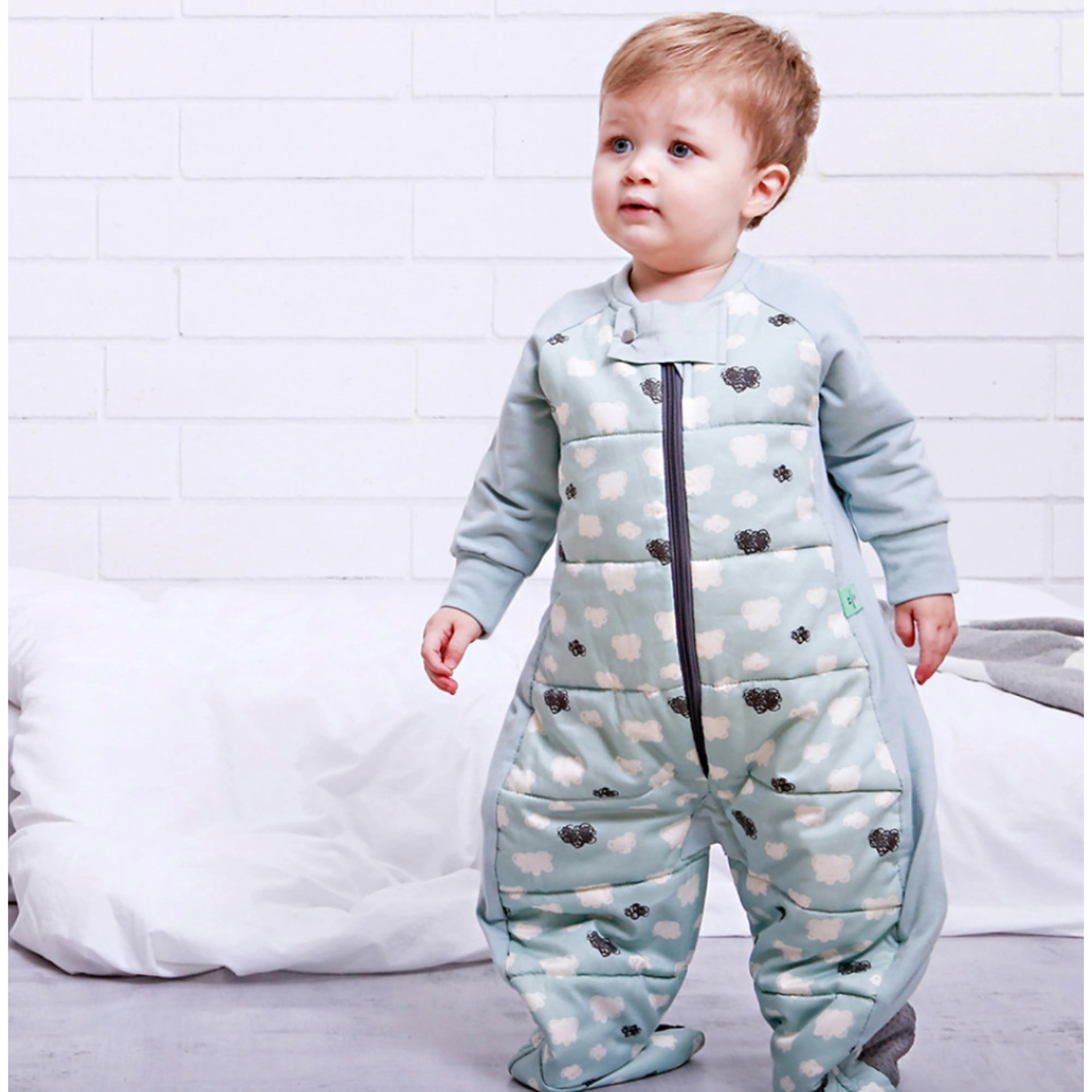 ergoPouch Sleep Suit Bag 2.5 TOG - Mint Clouds