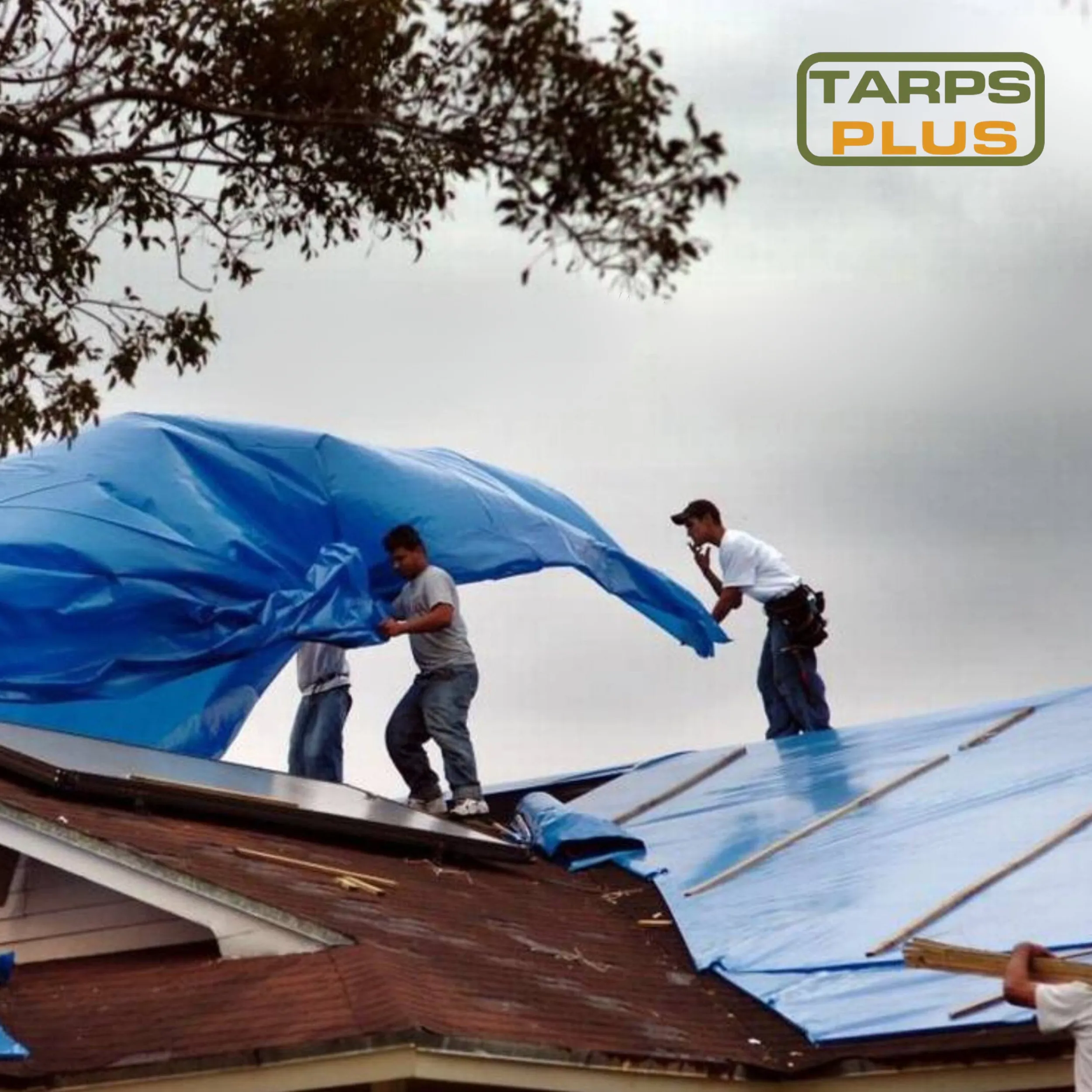 Hurricane Tarps